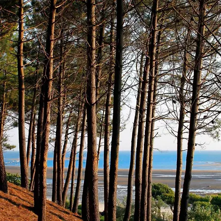 Centre: Beau T2 53m² Avec Terrasse, Parking, Ascenseur, Proche Et Commerces - Fr-1-420-93 * Arcachon