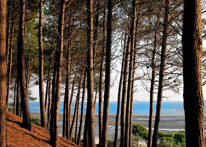 Centre: Beau T2 53m² Avec Terrasse, Parking, Ascenseur, Proche Et Commerces - Fr-1-420-93 * آركاشو